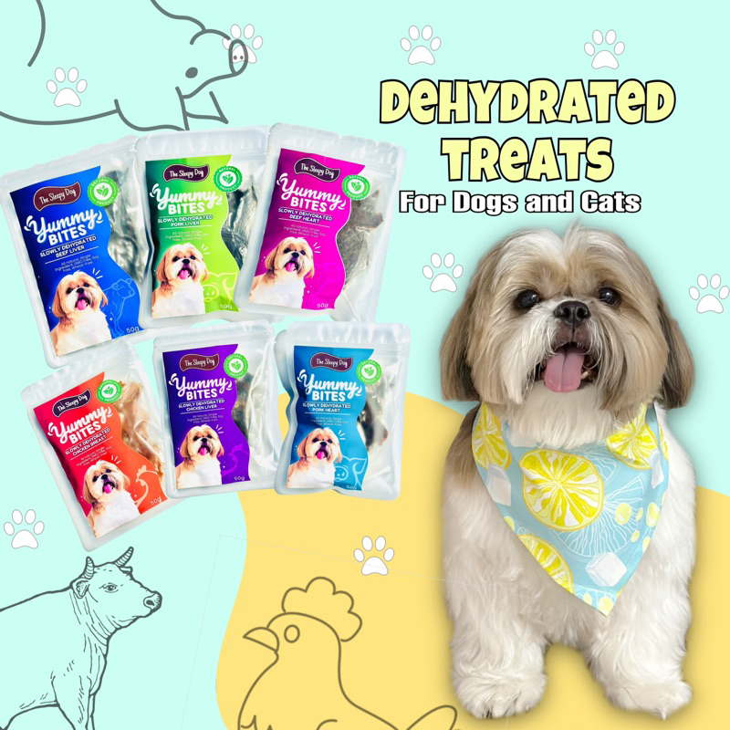 Healthiest Dehydrated Treats for Dogs and Cats Shopee Philippines