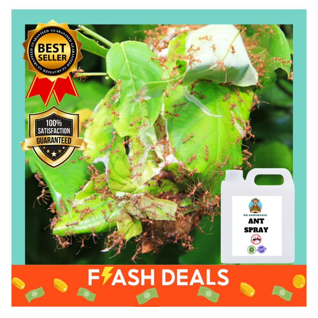 Ants spray killer 1000ml Ant bait ant killer Ant repellent spray Plant