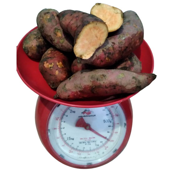Fresh Sweet Potato High Fiber Vitamin A Tuber Food 800 Grams Shopee Philippines