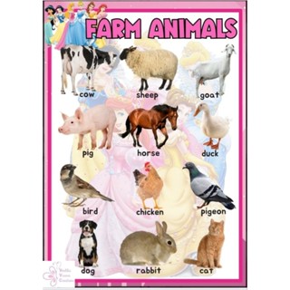 FARM ANIMALS - CHOOSE THE CHARACTER LAMINATED EDUCATIONAL WALL CHART ...