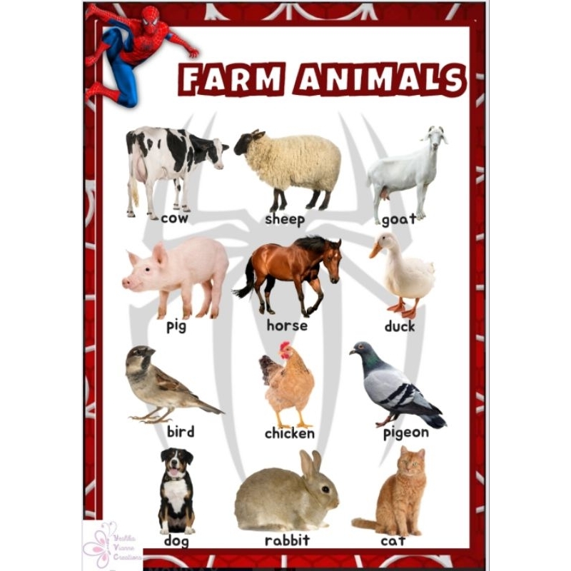 Farm Animals - Choose The Character Laminated Educational Wall Chart 