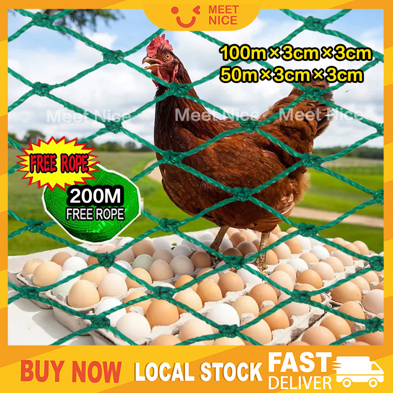 Chicken Net 20M/50M/100meters FREE ROPE Farm Poultry Poly Range Lambat