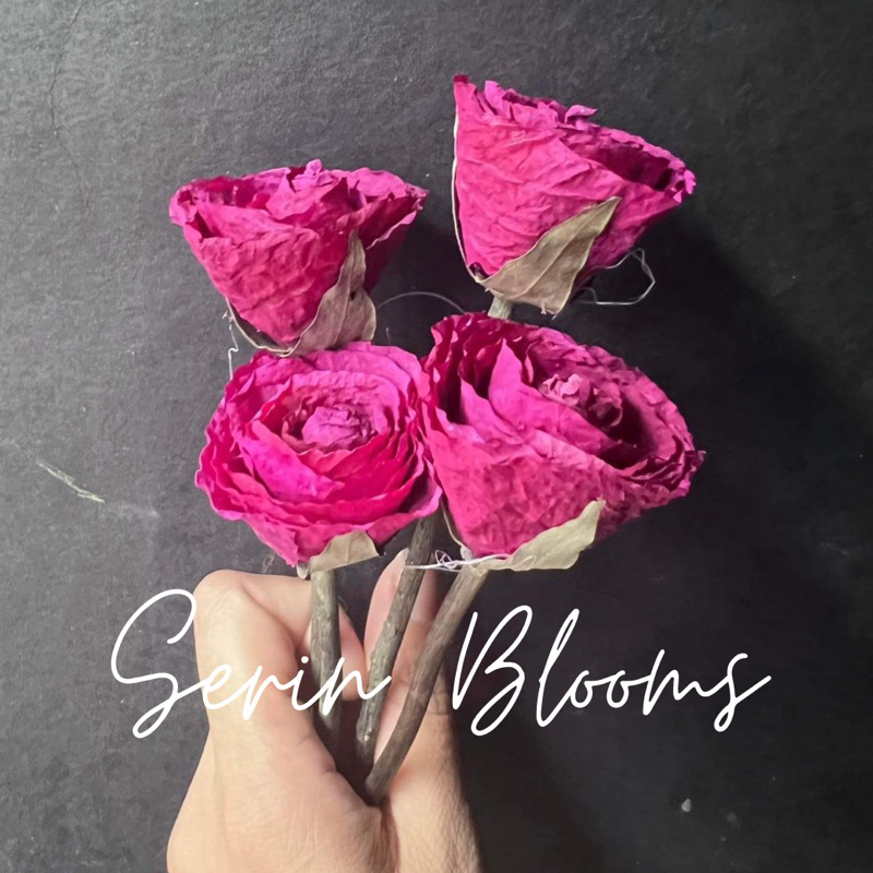 Fossilized Rose (Petite)sold per piece 4-5cm | Shopee Philippines