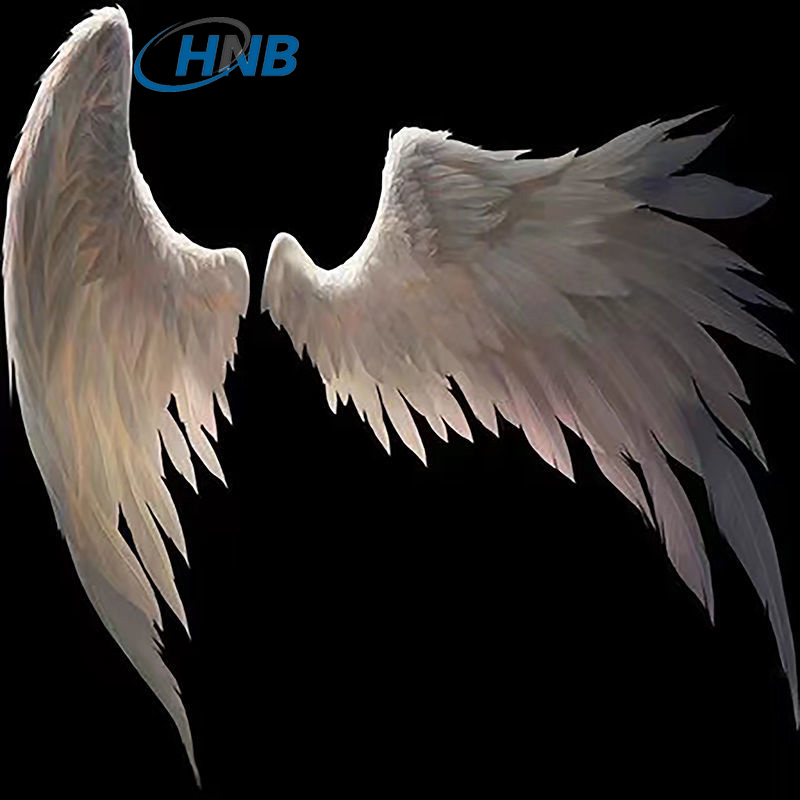 HNB Halloween Angel Wings Props Adult Flower Girl Catwalk Devil Wings ...