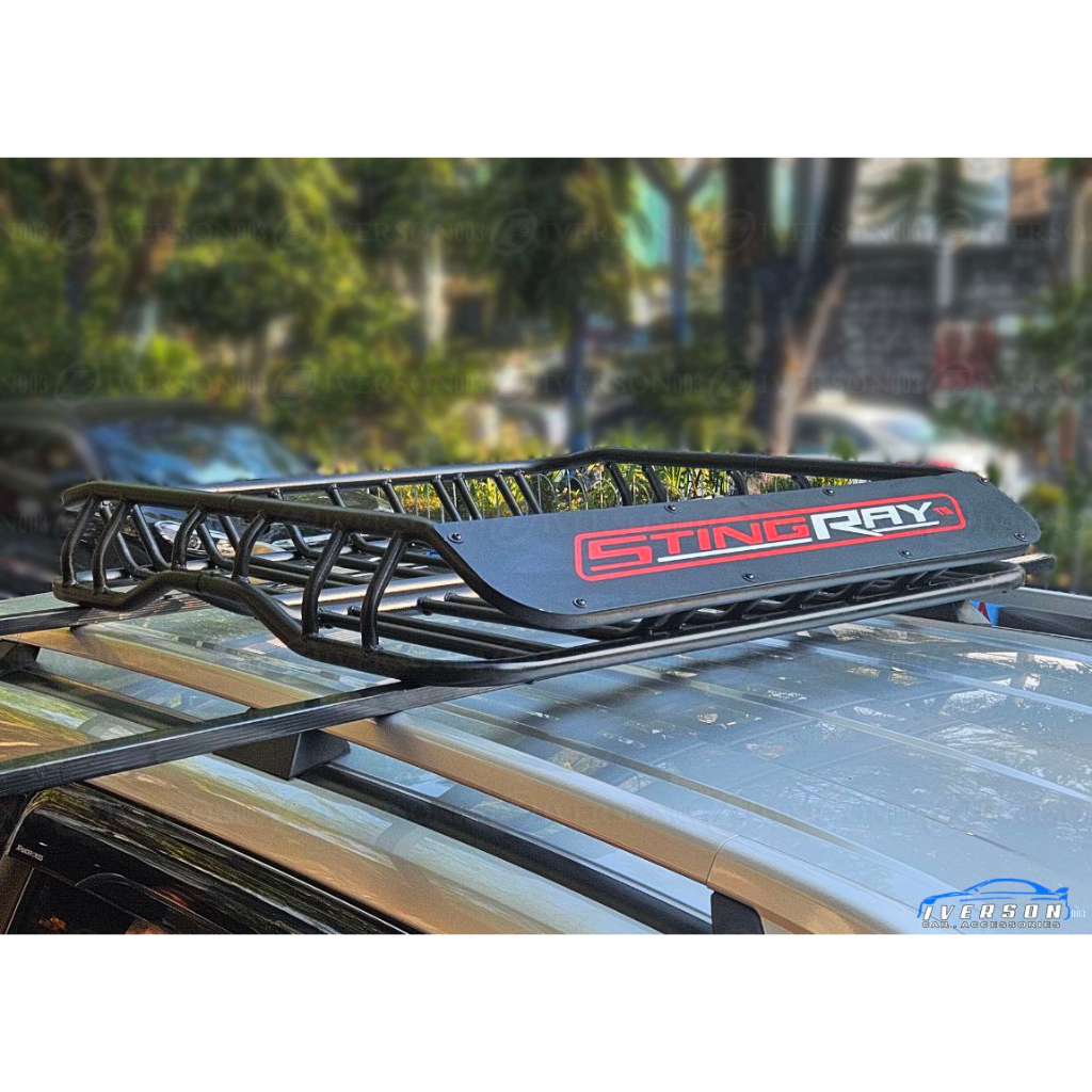 38x50 Stingray Universal Roof Rack Luggage Rack installed in Mitsubishi ...