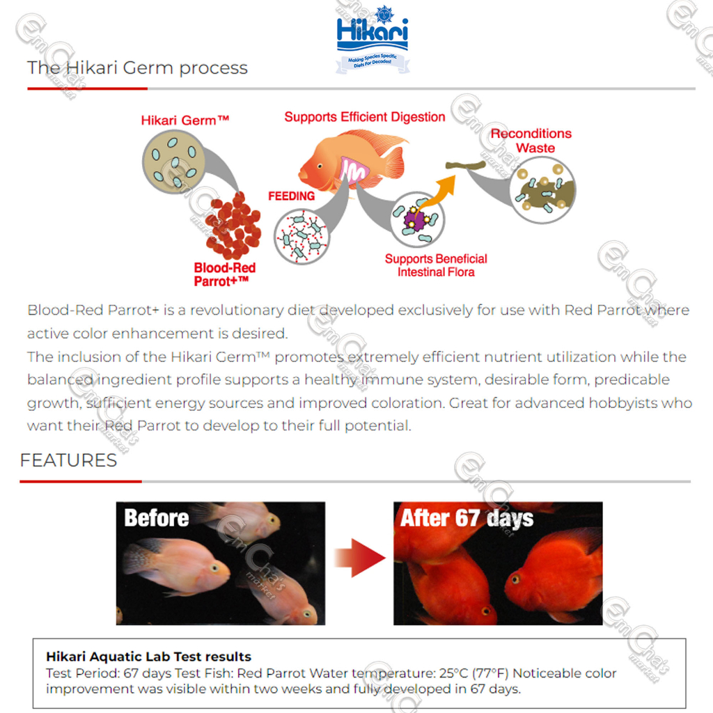 Hikari Blood-Red Parrot Plus 333g (BIGGIE TetraPack)(ff) Red Parrot ...