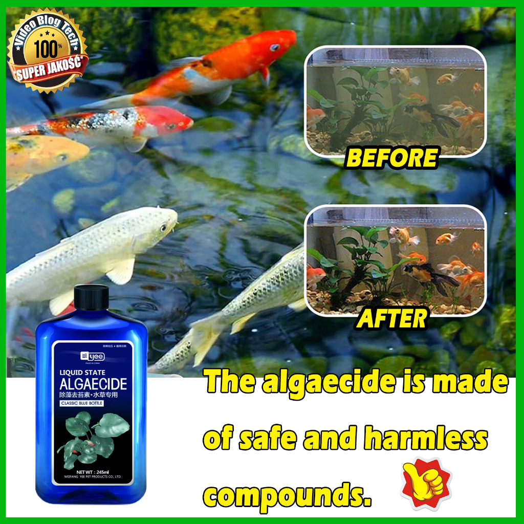 500g algaecide for aquarium for pond/swimming pool aquarium algae