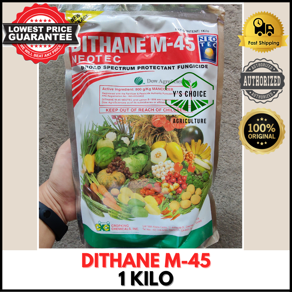 DITHANE M 45 1 KILO BROAD SPECTRUM PROTECTANT FUNGICIDE ORIGINAL PACKAGING Shopee