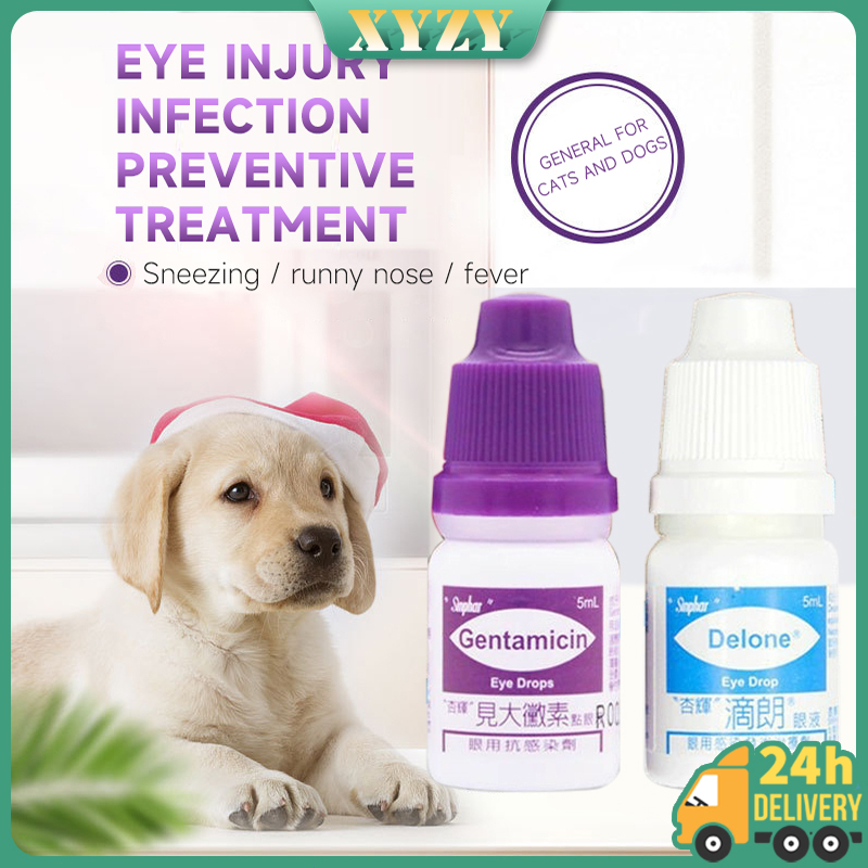 Pet Eye Cleaner Treatment of Pet Eye Eye Drops for Pet Eye Drops for