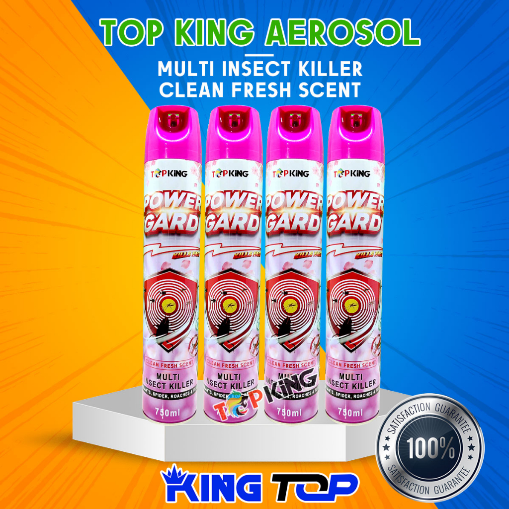 TOPKING Aerosol Insecticide Spray Insects Spray 750ml Mosquito Spray