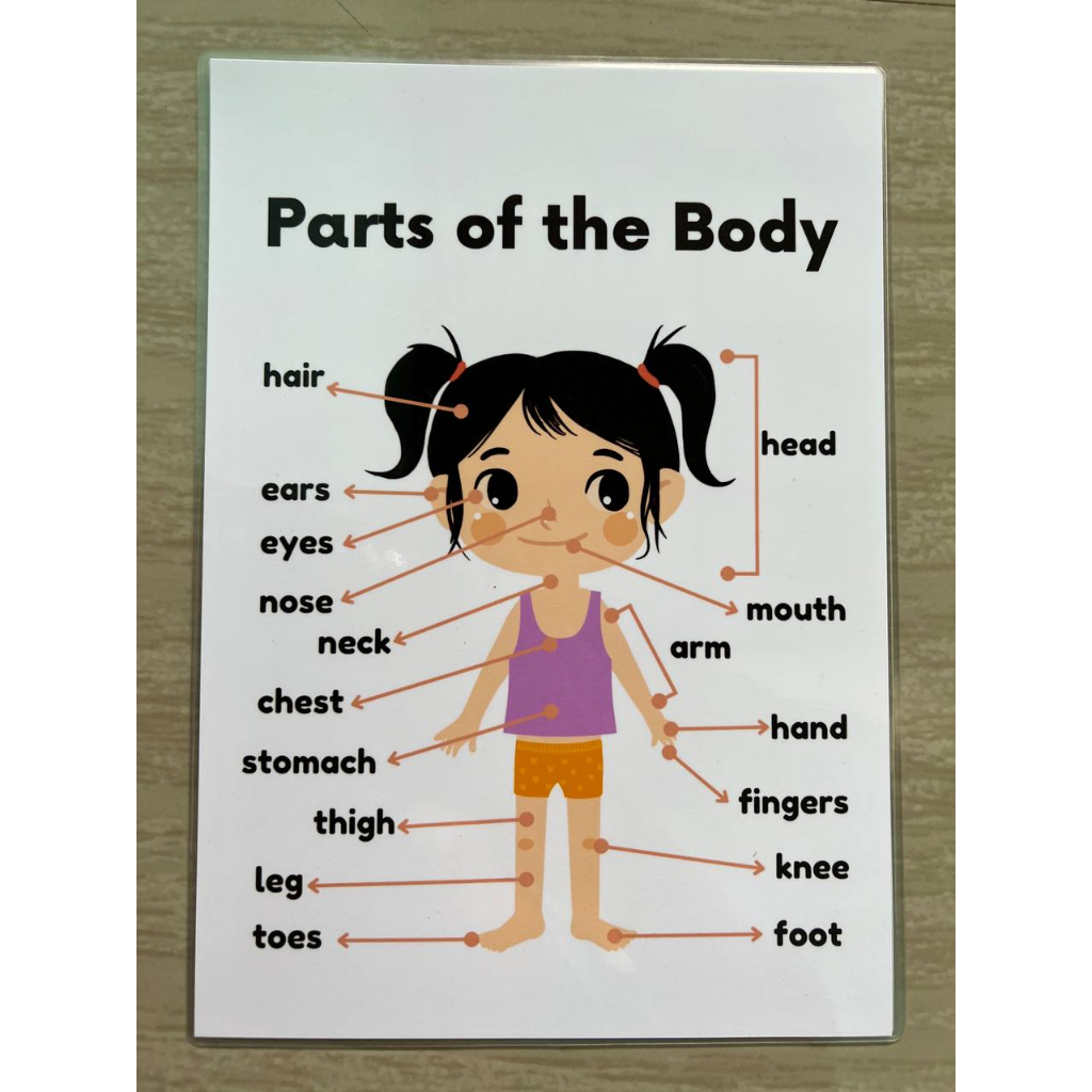 Educational Learning Materials For Kids Laminated A4 Size Chart Parts 