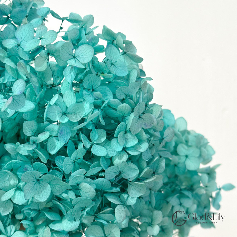 Imported Dried Hydrangeas (mini pack) Shopee Philippines