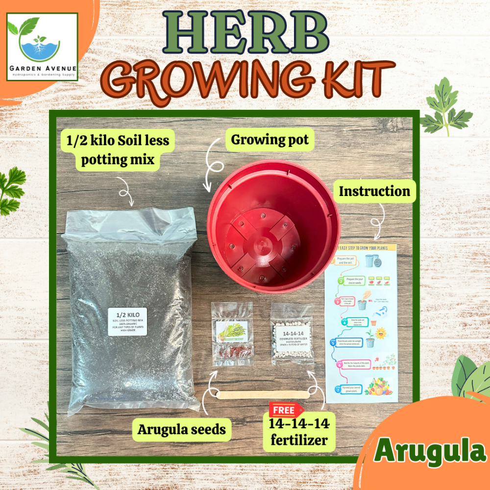 ARUGULA GROWING KIT - READY TO USE/COMPLETE PACKAGE/POT/SOIL/SEEDS ...