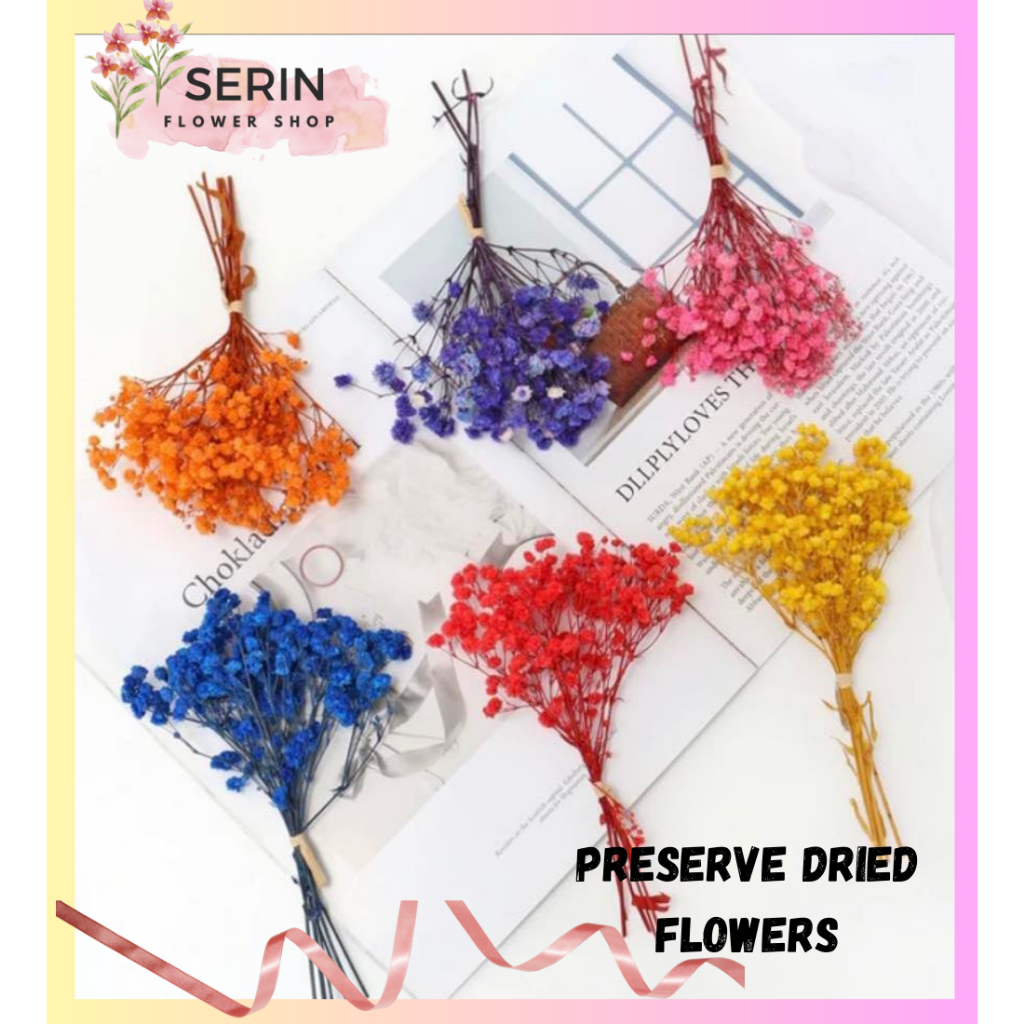 MIni Bunch Babysbreath/ Gypsophila Dried Flowers Home Wedding