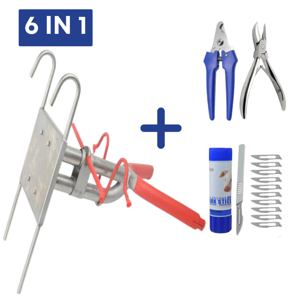 Viddavet Hang Type Castration Tool for piglets Castration tool kit