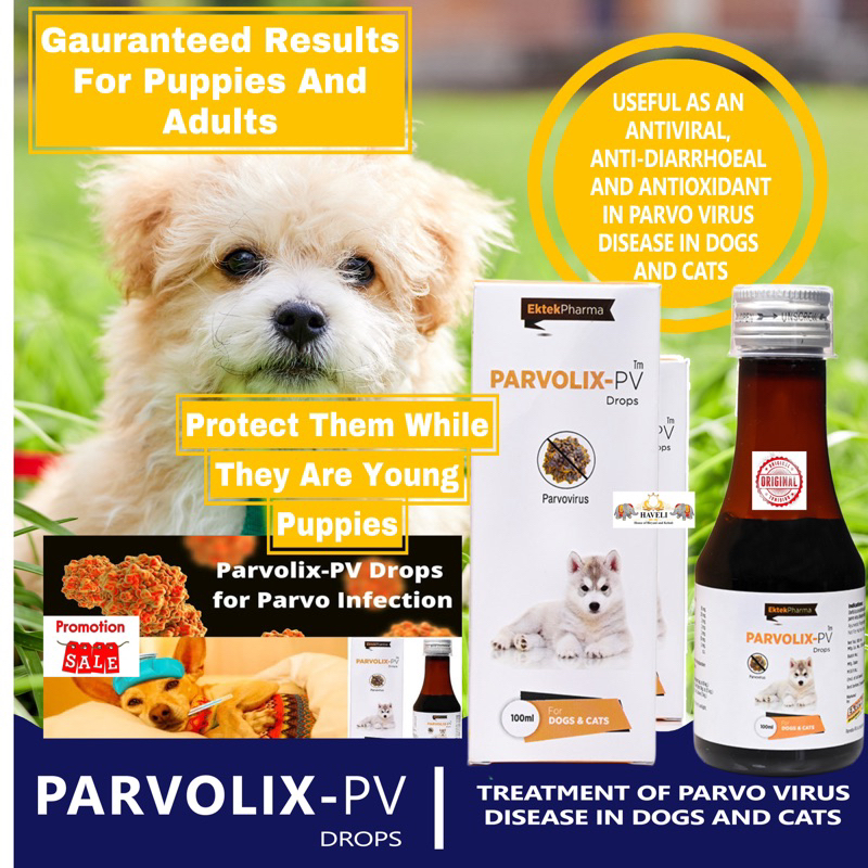 Parvolix Pv For Treatment Of Parvo Virus In Dogs And Cats