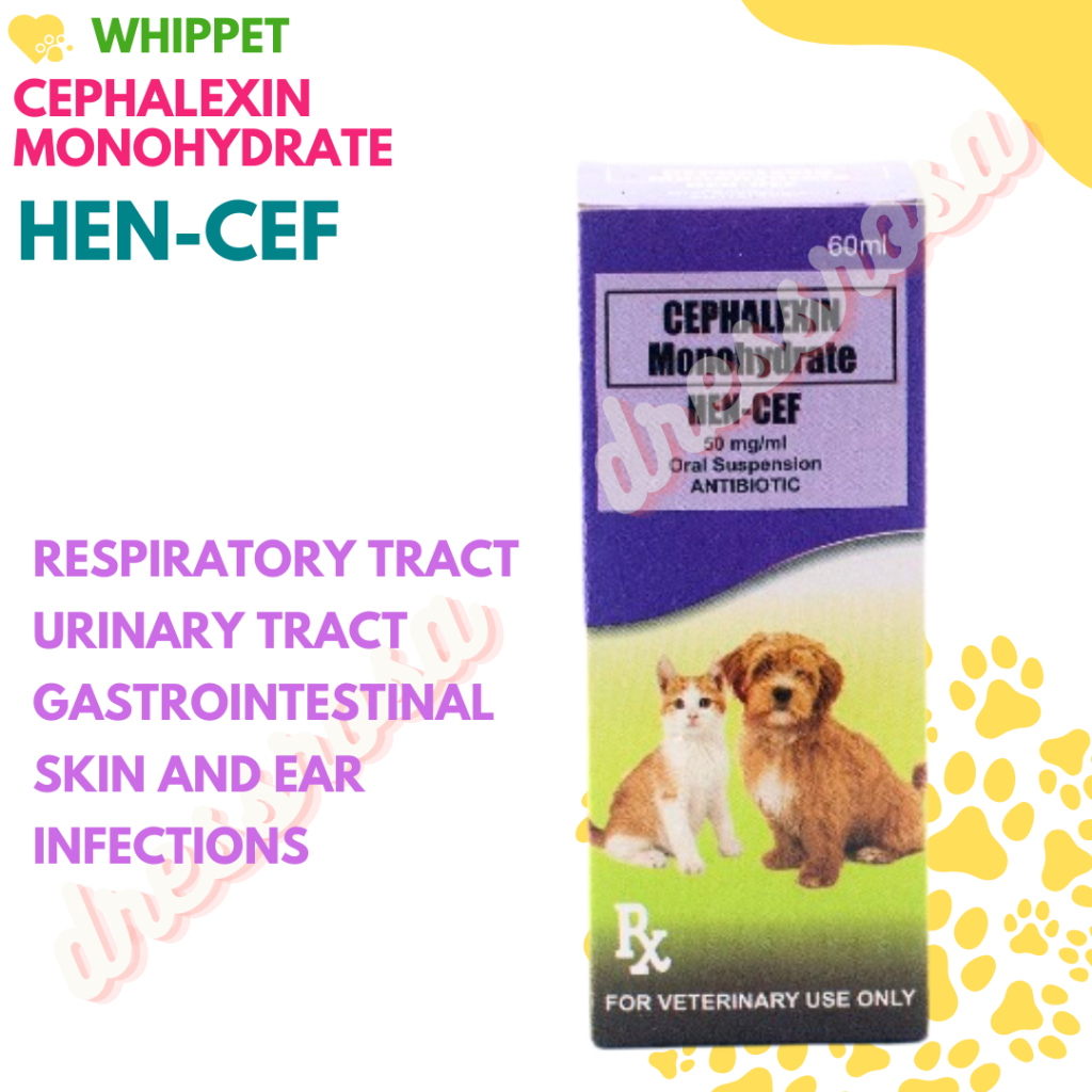 HENCEF (CEPHALEXIN MONOHYDRATE) FOR DOG AND CAT (60ML) Shopee Philippines