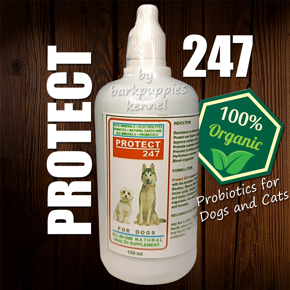 PROTECT 247 APETITE BOOSTER ANTI PARVO IMMUNE SYSTEM BOOSTER ALL
