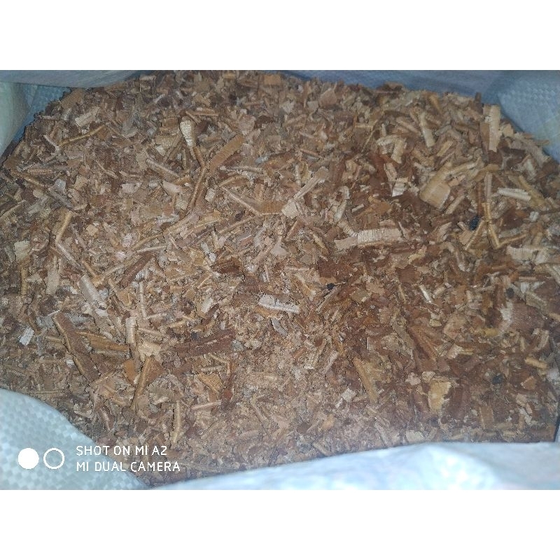 Kusot 250 grams and 500 grams | Shopee Philippines
