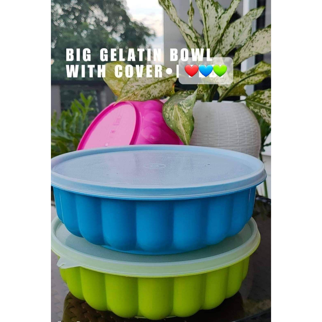 BIG GELATIN MOLDER BOWL 9INCHES DIAMETER | Shopee Philippines