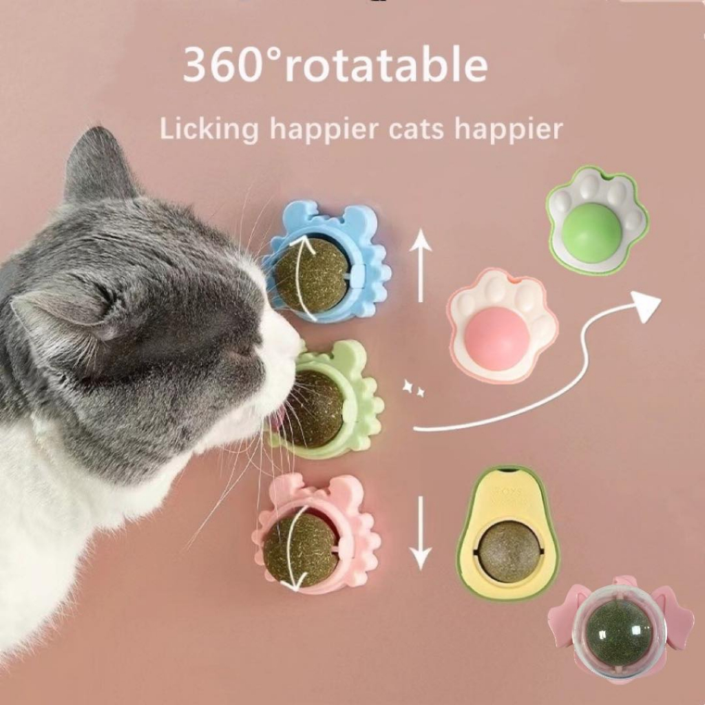 Catnip Cats Toy Cat Toys Kitten Toys Cat Teaser Cat Pet Toy Catnip Cat