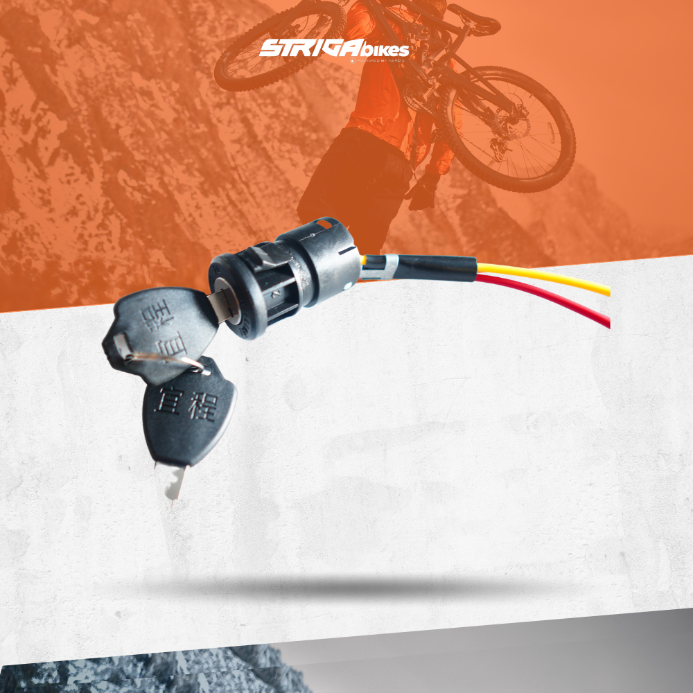Yamazaki E-bike Power Lock System | Shopee Philippines