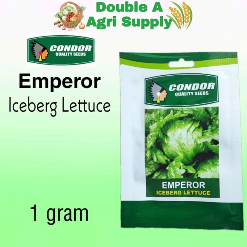 Emperor Iceberg Lettuce Vegetable Pack Condor Quality Seeds Shopee Philippines 5562