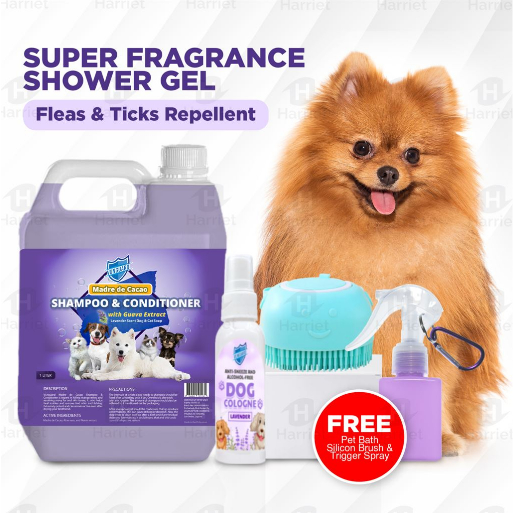 Is It Bad To Use Dog Shampoo On A Cat at Dennis Coulter blog