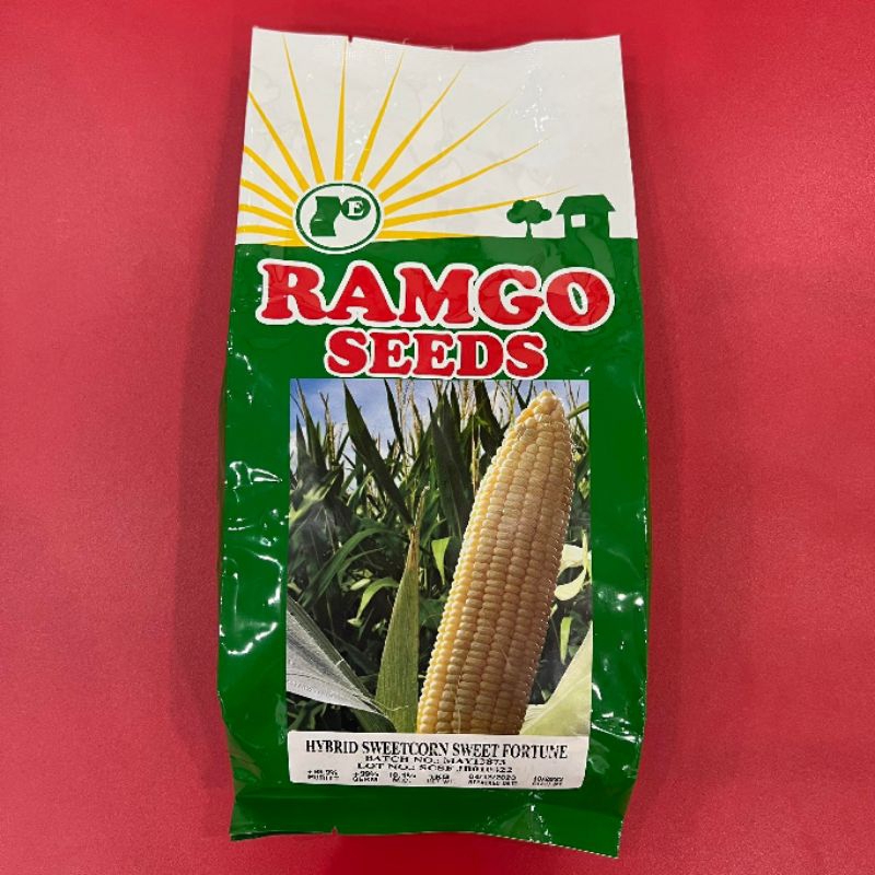 SWEET FORTUNE RAMGO SEED HYBRID SWEETCORN VEGETABLE SEEDS 1KG | Shopee ...