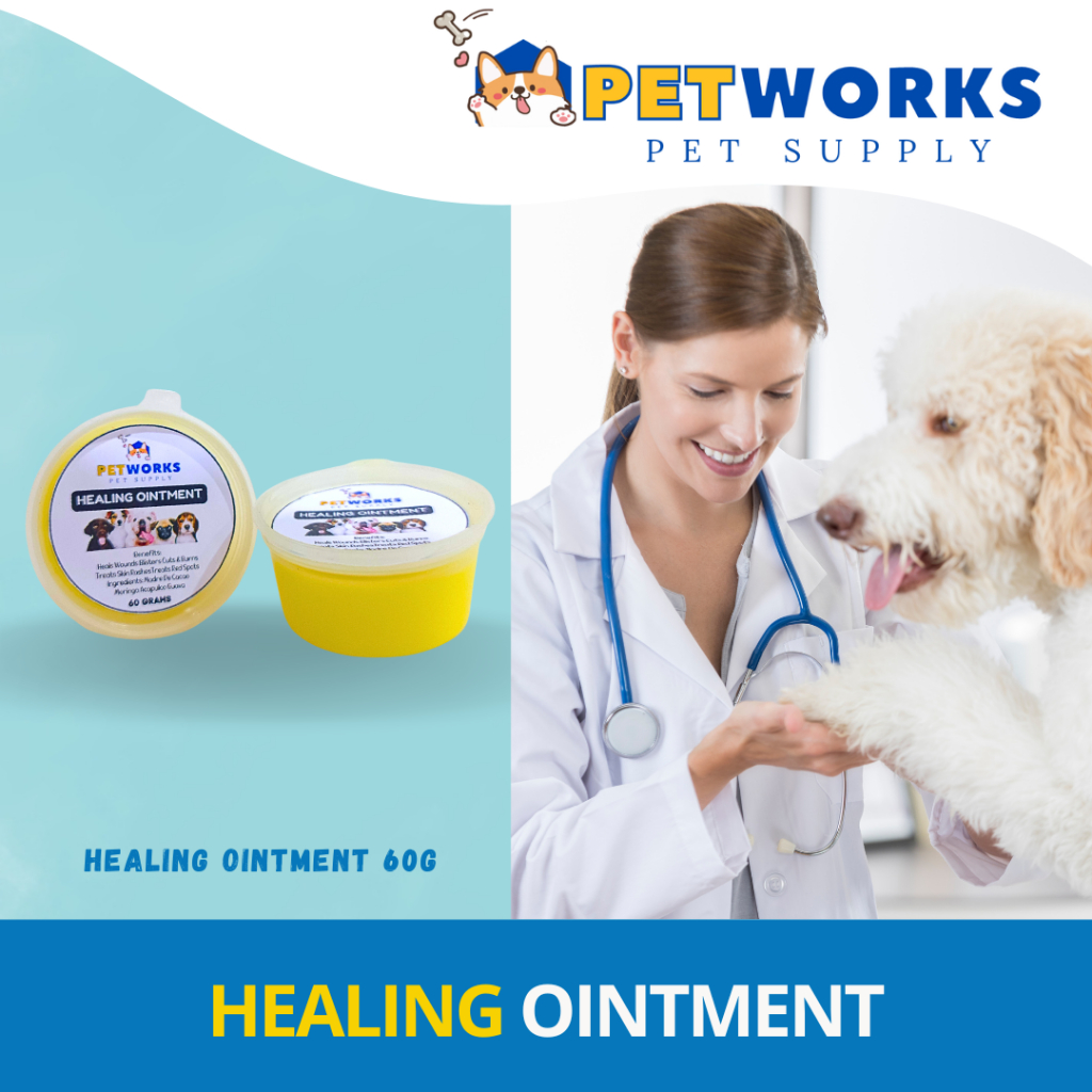 Natural Dog Healing Ointment with Moringa, Acapulco, and Guava for ...