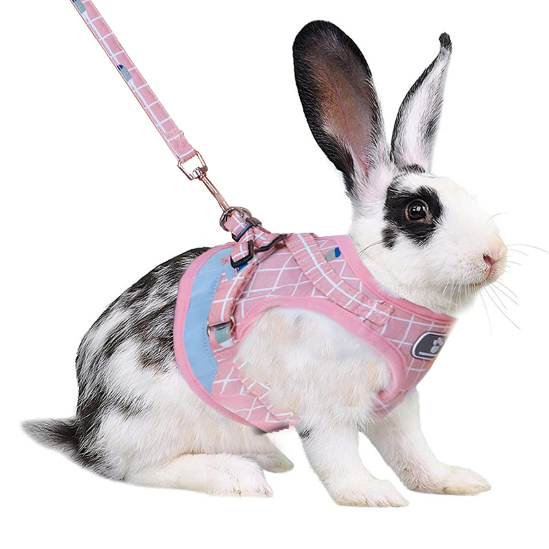 Rabbit accessories rabbit leash rabbit toys kulungan ng rabbit leash