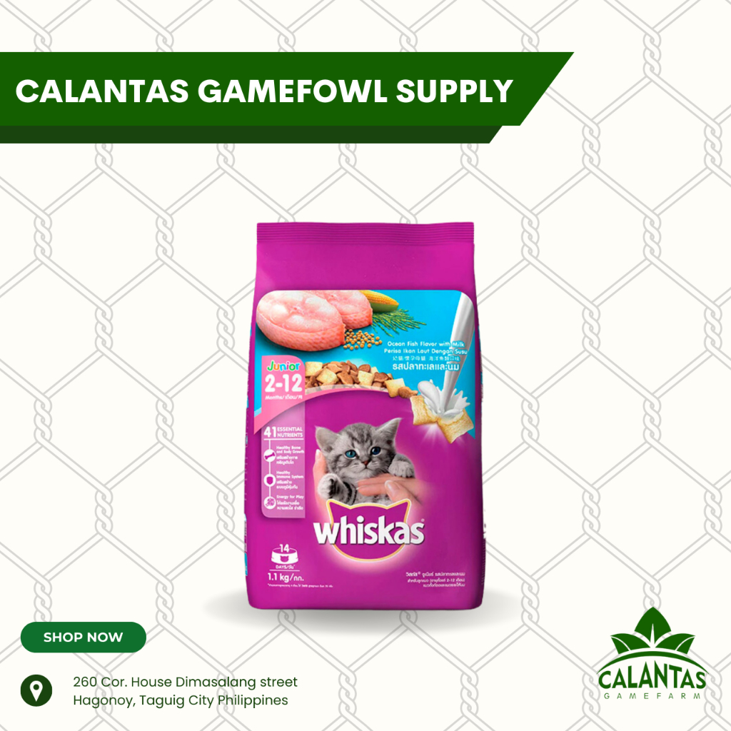 Whiskas 2kg hotsell