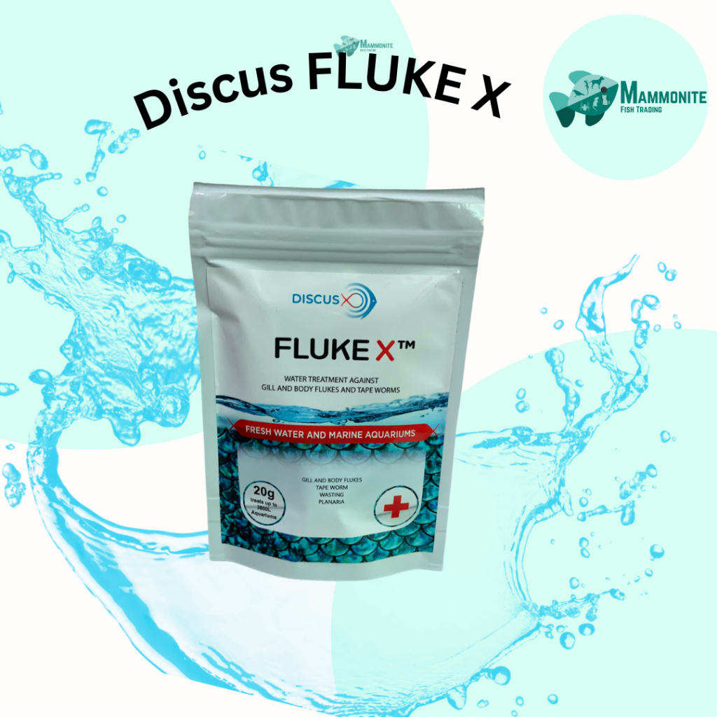 Aquarium Discus X FLUKE X for FISH TREATMENT and Fresh water and Marine