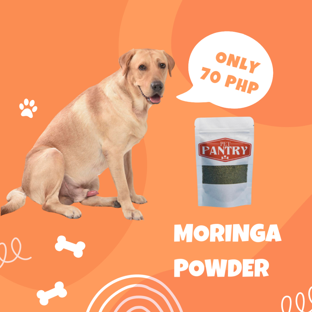 Moringa Powder Malunggay Powder Shopee Philippines