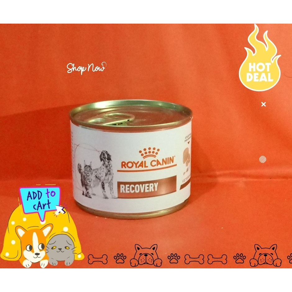Recovery canin sales