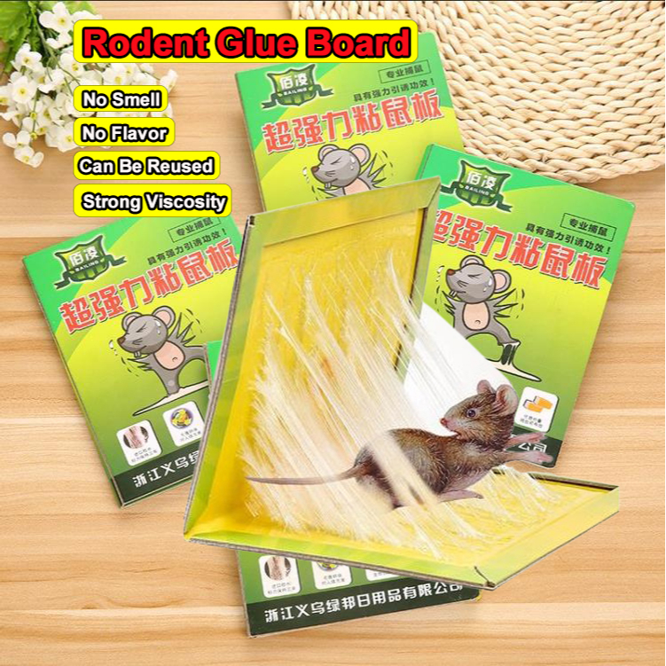 【Ship From Manila】Rat & Mouse Sticky Mice Rodent Glue Board Bait Trap ...