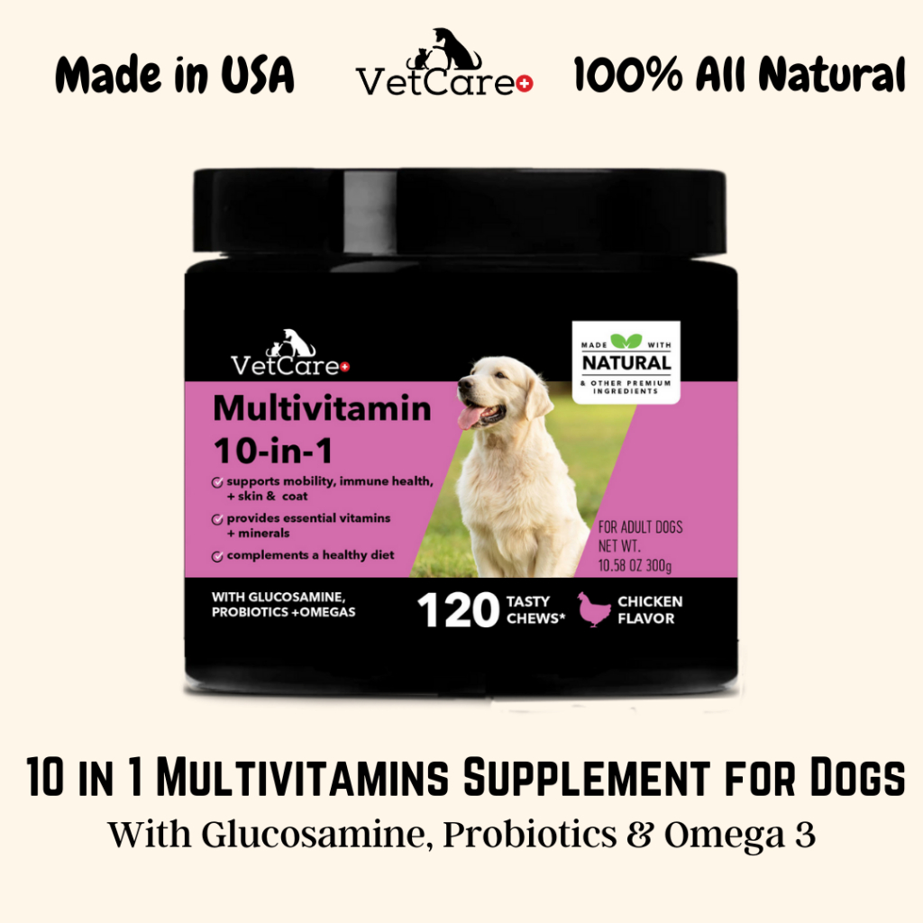 VetCare+ 10 in 1 Dog Multivitamins Healthy Supplement Treat Snack for
