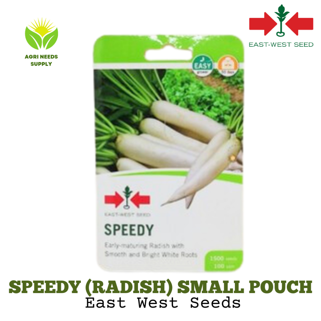 Radish (Labanos) Speedy East West Seeds sachetar | Shopee Philippines