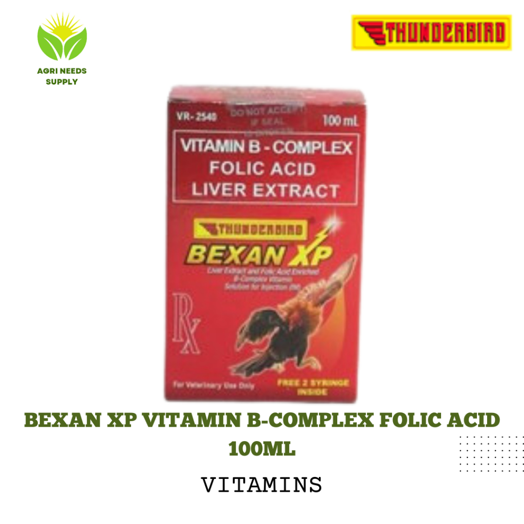 Bexan XP Vitamin B-complex Folic Acid 100ml | Shopee Philippines