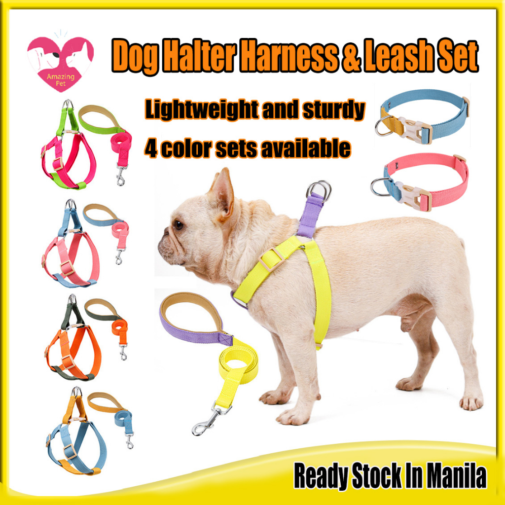 Dog Halter Harness&Leash SetAdjustable Heavy Duty No Pull Halter
