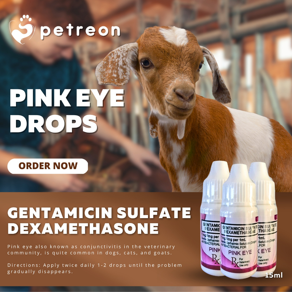 Pink Eye Drops for Goats 15ml Shopee Philippines