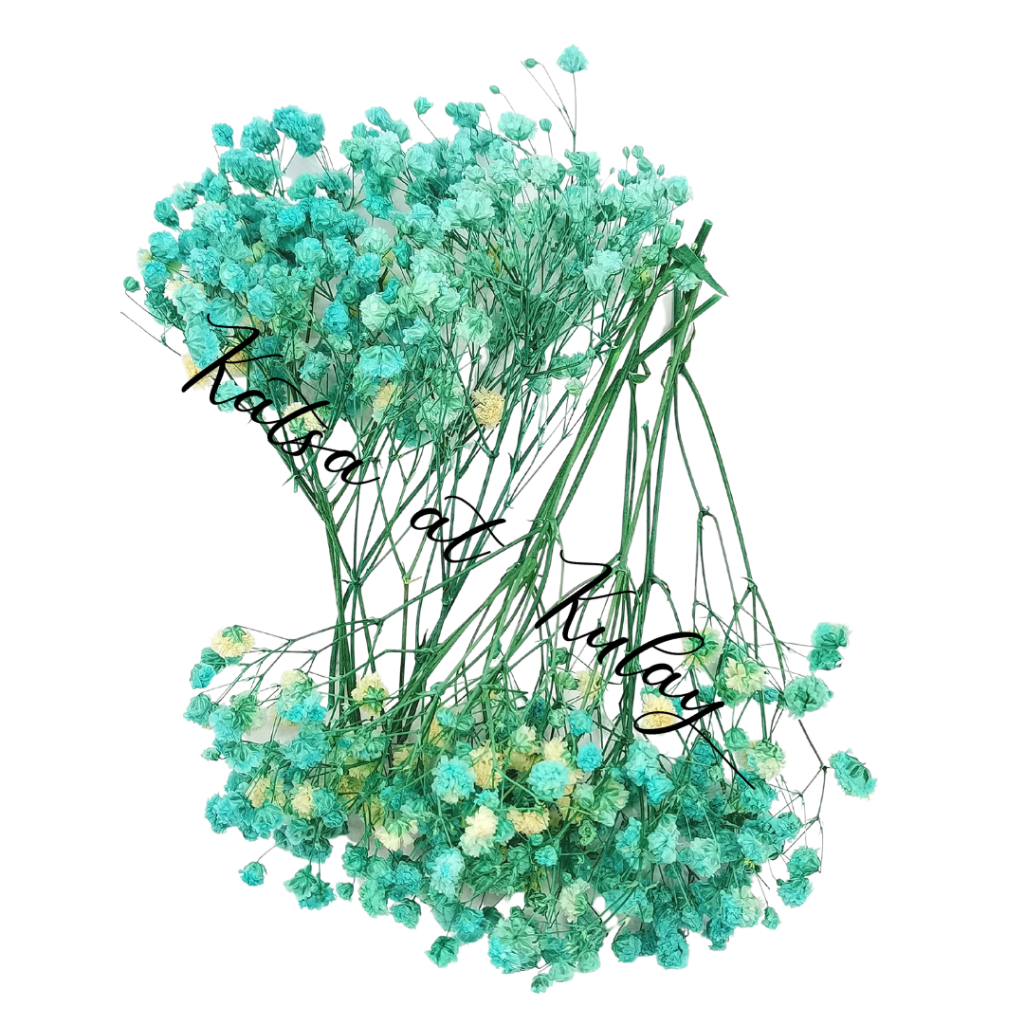 Gypsophila Dried And Preserved Flower Shopee Philippines