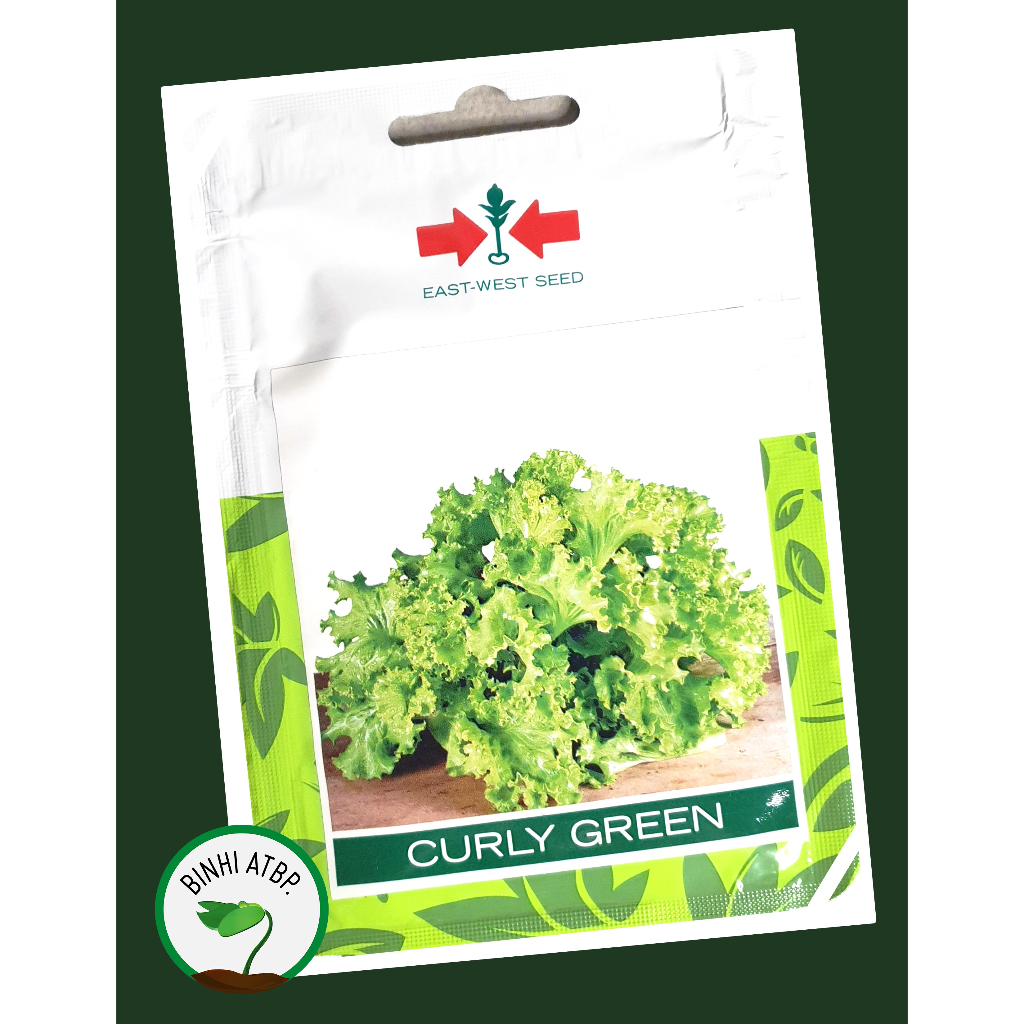 Eastwest Lettuce Curly Green Seeds (10 Gr Pack) Shopee Philippines