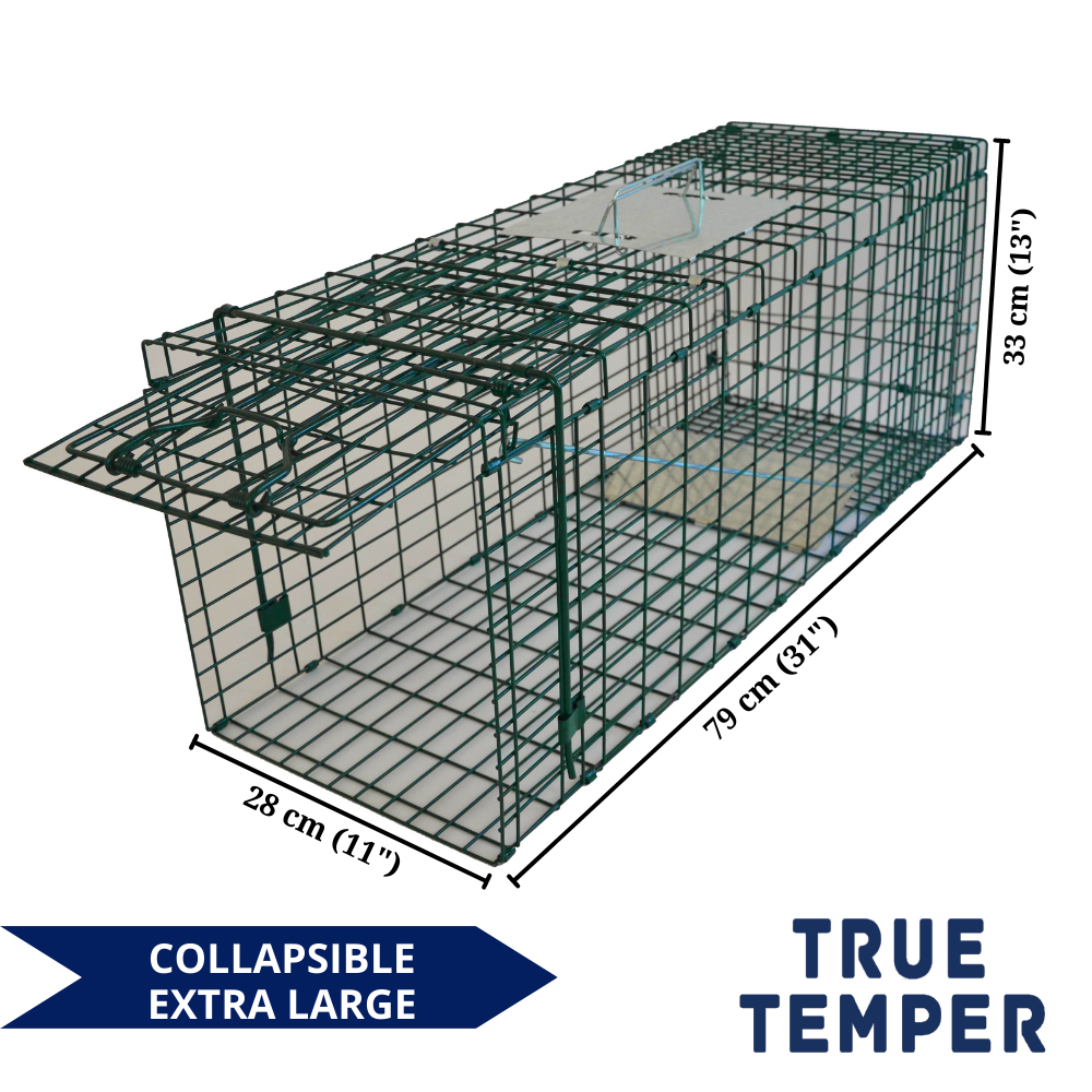 Cat Trap Cage Collapsible Heavy Duty Shopee Philippines