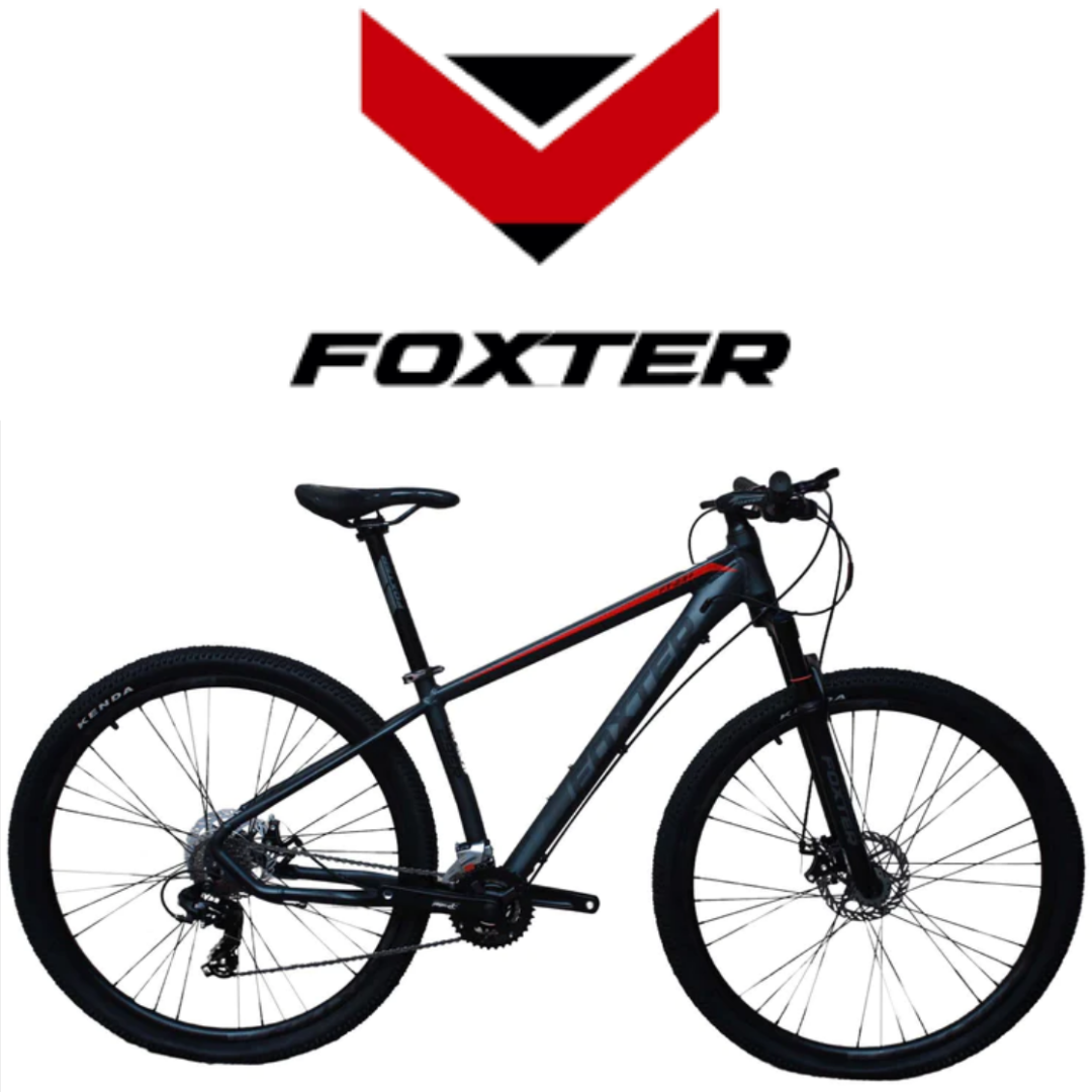 Fashion mtb foxter 29