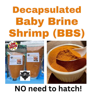 brine shrimp - Best Prices and Online Promos - Jul 2024 | Shopee