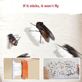 Sticky Fly Paper, Fly Trap, Strong Adhesive Fly Board, Killer Artifact, Fly  And Mosquito Killer, Fly Catcher, Household Use - Temu