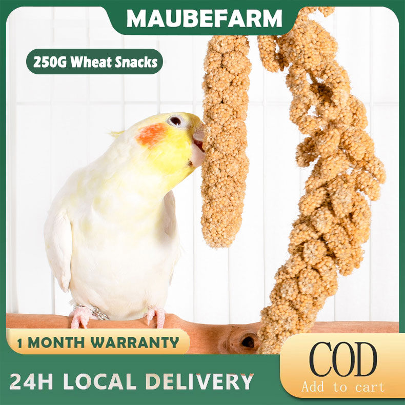 250/1000g parrot spray millet natural grain ears with shells yellow