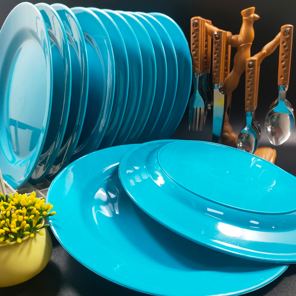 Reusable plastic dishes sales