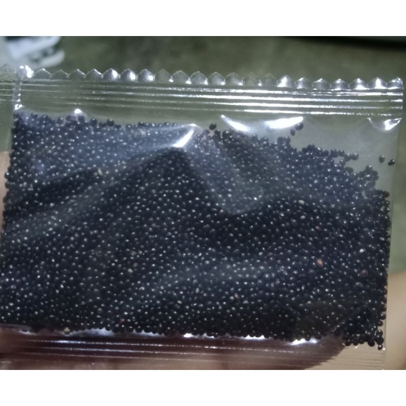 Shop kulitis for Sale on Shopee Philippines